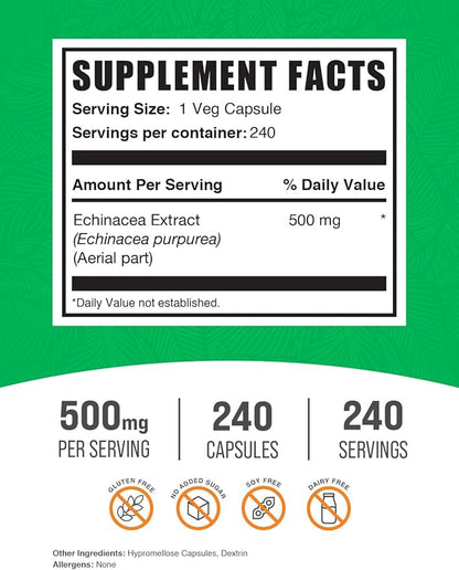 BulkSupplements.com Echinacea Extract Capsules - Echinacea Supplement, Echinacea Capsules 500mg - Immune Support, Gluten Free, 1 Capsule per Serving, 240 Capsules (Pack of 1)