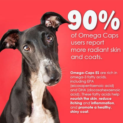Omega-Caps Extra Strength for Large Breeds-Vet Formulated for Healthy Radiant Skin & Coat While Reducing Excess Shedding. Contains Omega 3 for Immune System Support, Easy to Dose, 60 Soft Gel Capsules