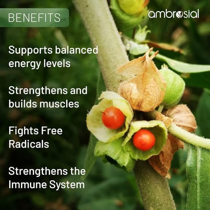 AMBROSIAL Ashwagandha 500mg (Pack of 1-60 Capsules)