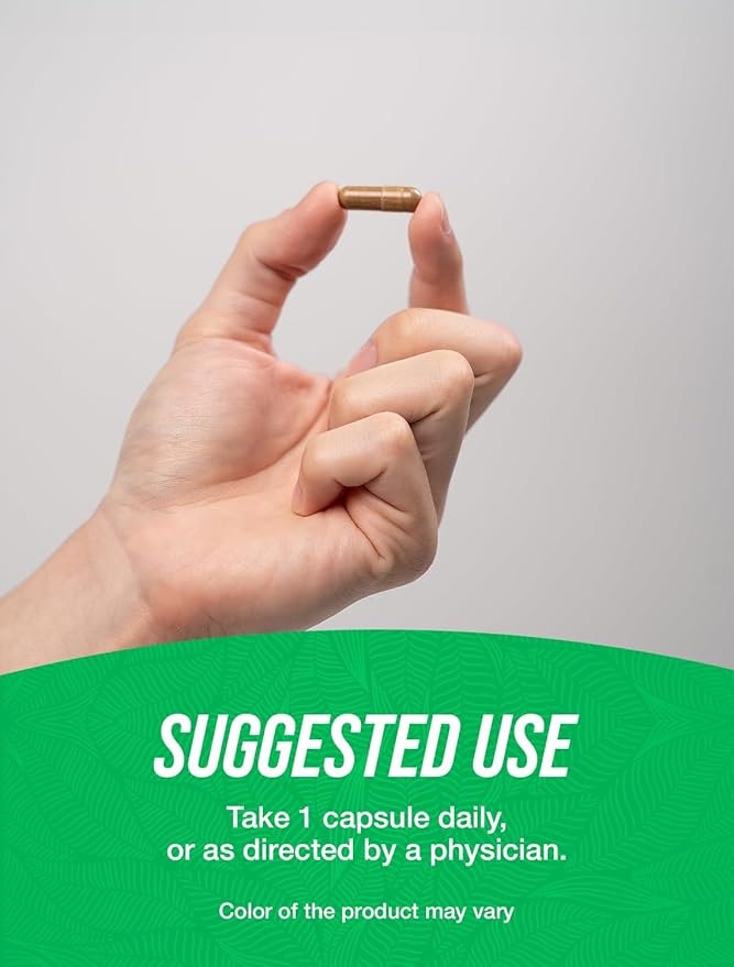 BulkSupplements.com Astragalus Capsules - from Astragalus Root, Astragalus Supplement - Vegan, 1 Capsule per Serving, 240 Veg Capsules (Pack of 1)