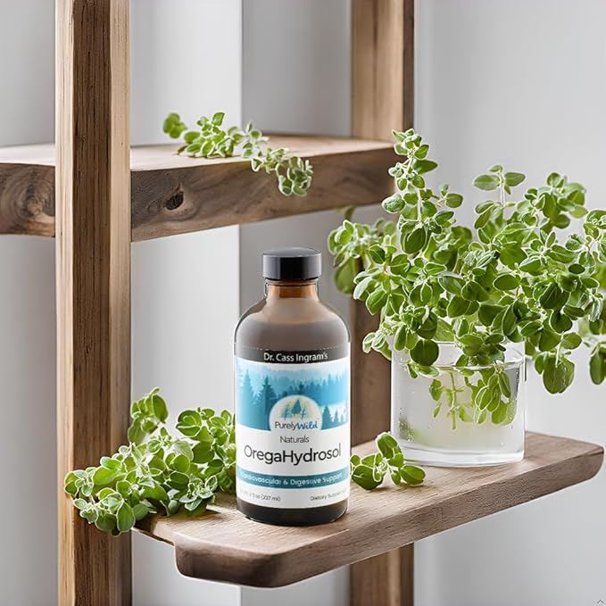 PURELY WILD Dr. Cass Ingram's OregaHydrosol - Wild Mediterranean Oregano Juice for Immune Support, Respiratory & Digestive Health - Non GMO Wild - Pure Steam-Distilled Essence (8 fl oz)