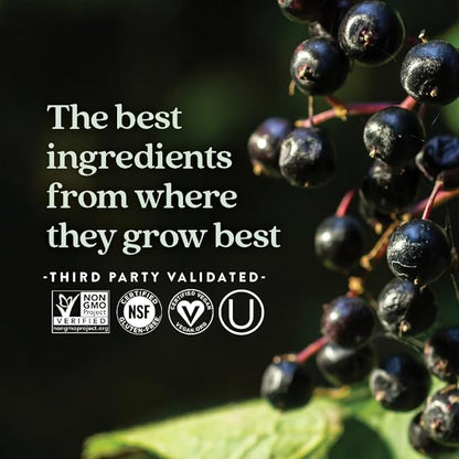 New Chapter Vegan Elderberry Capsules with 64x Concentrated Black Elderberry + Black Currant for Comprehensive Immune Support, Non-GMO Project Verified, Gluten Free, Certified Vegan, 30 Count