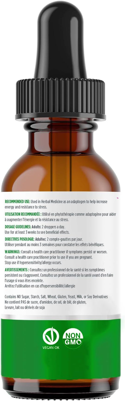 Renew Actives Milk Thistle Liquid Extract 110MG per 2ML – Liver Support Drops for Optimal Health – No Alcohol, Non-GMO, Vegan – Supports Liver Function & Digestive Health – Made in Canada – 4 fl oz