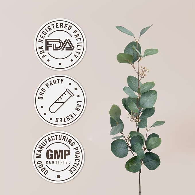 Alfalfa USDA Organic Alcohol-Free Extract | Dietary Supplement, High-Potency Tincture | Natural Certified Organic Alfalfa Dried Leaf (4 oz)