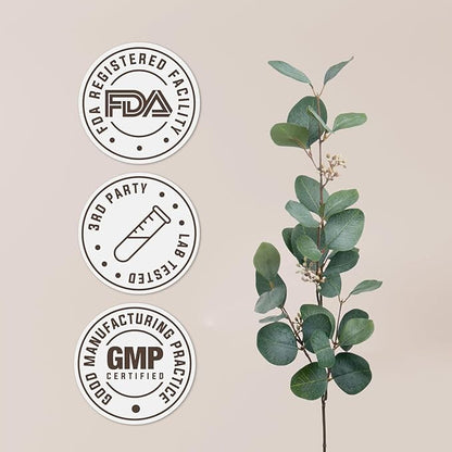 Alfalfa USDA Organic Alcohol-Free Extract | Dietary Supplement, High-Potency Tincture | Natural Certified Organic Alfalfa Dried Leaf (2 oz)