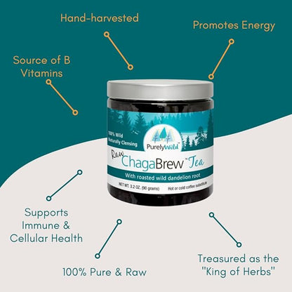 PURELY WILD Dr. Cass Ingram's Wildcrafted Chaga Mushroom Extract Powder – 90g – Nourishing Chaga Tea, Coffee Alternatives & Smoothies – Clean Energy Support – Vegan, Gluten-Free, No Fillers