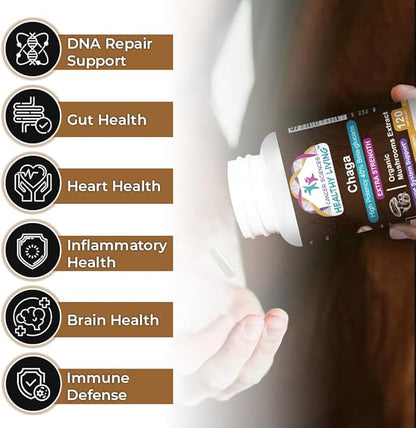 Cancer Sciences Chaga Wellness Mushrooms Supplement, USDA Certified Organic Mushroom Extract, Extra Strength 1,500 mg, High Potency 40% Beta-Glucans, Immune Support, Gut Health, Antioxidant, 120 Caps