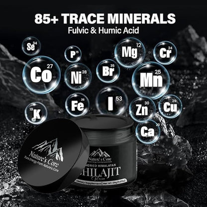 Nature's Core Sundried Himalayan Shilajit, Pure Himalayan Organic Shilajit for Men and Women, Contain 85+ Trace Minerals & Fulvic Acid, Natural 100% Purest Shilajit Resin, 20 Grams