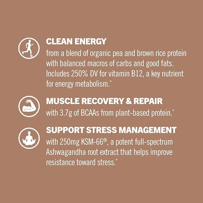 OM Mushroom Superfood Master Blend Mushrooms & Adaptogens, Creamy Chocolate Plant Protein, Single Serve, 10 Count, 10 Mushroom Complex, Lion's Mane, Ashwagandha for Energy, Recovery, Stress Relief