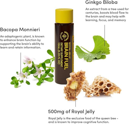 BEEKEEPER'S NATURALS B.LXR Brain Fuel - Memory, Focus and Clarity Liquid Formula, Supports Productivity Royal Jelly, Ginkgo Biloba, Bacopa Monnieri Keto Friendly, Gluten & Caffeine-Free, (6 ct)