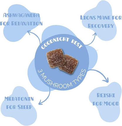 Mini Mushy's Organic Goodnight Rest Gummies | Ashwagandha, Reishi, Lions Mane, Mushrooms, Melatonin | Kids Age 2+ Natural Color, Allergy Friendly, Low Sugar | Berry Flavor - 30 Count