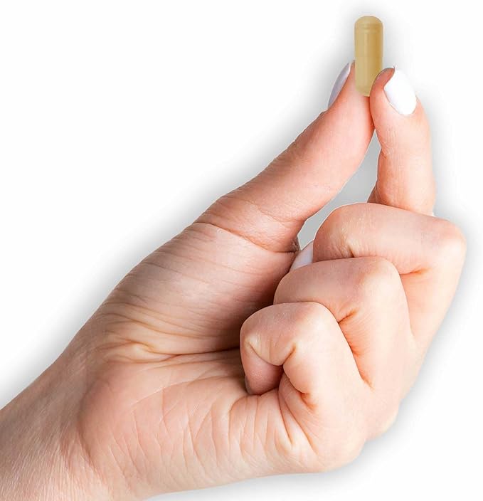 MASON NATURAL Milk Thistle 500 mg - Support Healthy Liver Function, Cleanse and Detox, Herbal Dietary Supplement, 60 Capsules