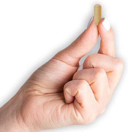 MASON NATURAL Milk Thistle 500 mg - Support Healthy Liver Function, Cleanse and Detox, Herbal Dietary Supplement, 60 Capsules