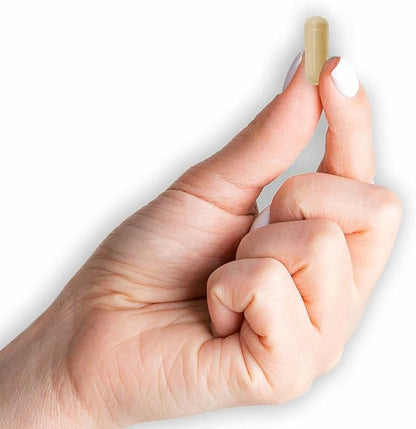 MASON NATURAL Whole Herb Ginger 500 mg, Natural Herbal Supplement, 60 Capsules (Pack of 2)