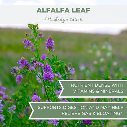 Organic Alfalfa Leaf 4 oz. (113g), USDA Certified Organic Alfalfa Herb Loose Tea, Medicago Sativa, Cut & Sifted