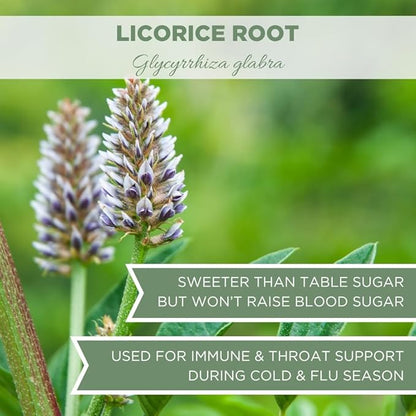 Organic Licorice Root 1 lb. (16 oz.), USDA Certified Organic Licorice Root Tea, Licourice Bulk Chopped, Liquorice, Raiz de Regaliz Licrice, Glycyrrhiza glabra, Cut & Sifted