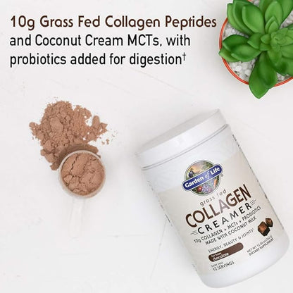 Garden of Life Grass Fed Collagen Creamer Powder - Chocolate, 12 Servings, Collagen Powder for Coffee Energy Beauty Joints, Coconut MCTs, Keto Collagen Protein Supplements