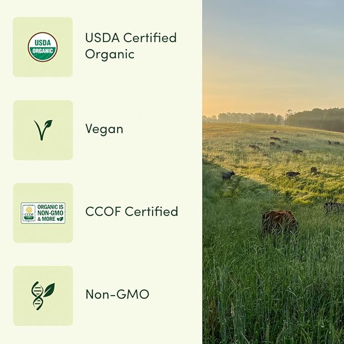 Men’s Multi Once Daily, Men's Multivitamin, 19 Vitamins from Herbs & Superfoods, 30 Count