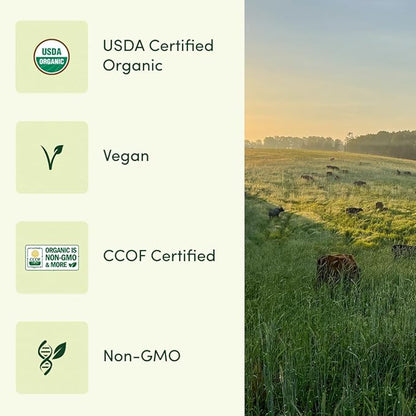 Men’s Multi Once Daily, Men's Multivitamin, 19 Vitamins from Herbs & Superfoods, 30 Count