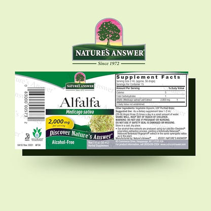 Nature's Answer Alcohol-Free Alfalfa Herb Extract, 1-Fluid Ounce Supports Immune System, Blood, Digestion, Energy Levels - Helps with Detoxification