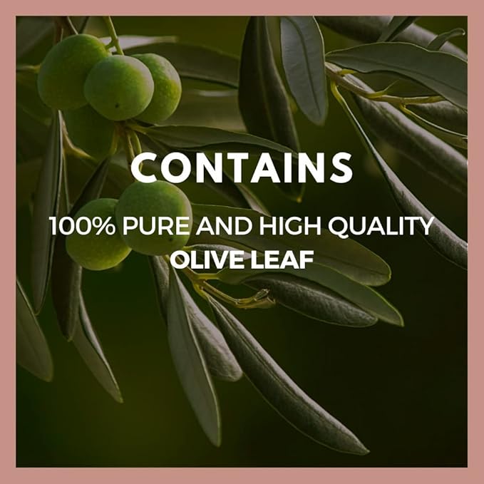 Remedy's nutrition Olive Leaf | 1,000 mg, 60 Vegan Capsules Herbal Dietary Supplement | Two Month Supply