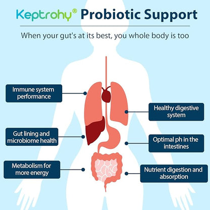 Probiotics for Women and Men, 300 Billion CFU Probiotics from 12 Strains Probiotic, Organic Prebiotics Blend, Probiotic Supplement for Gut Immune & Digestive Health, Shelf Stable, 240 Capsules