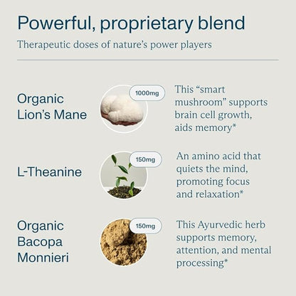 FOCL AM PM Nootropic Functional Supplement for Daytime Focus + Nighttime Recovery | AM - Supports Focus Energy Memory Cognitive Performance | PM Supports Calm Restful Restorative Sleep, Melatonin-Free