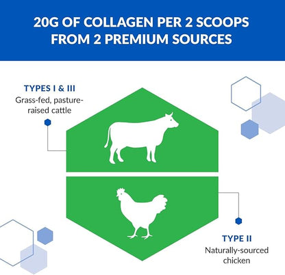 BioTrust Tri Collagen Powder - 3-in-1 Hydrolyzed Collagen Peptides Powder (Types I, II, & III) - Grass Fed Collagen Protein Powder for Anti Aging, Skin, Hair, Bone & Joint Health - Unflavored, 2-Pack