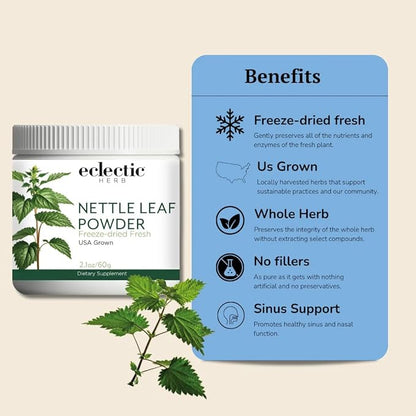 Eclectic Institute Raw Fresh Freeze-Dried Nettle Leaf Whole Food Powder | 2.1 oz (60 g)