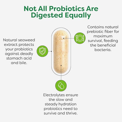 Probulin Total Care Pre + Pro + Postbiotic, 20 Billion CFU, 60 Vegan Capsules (Pack of 3)