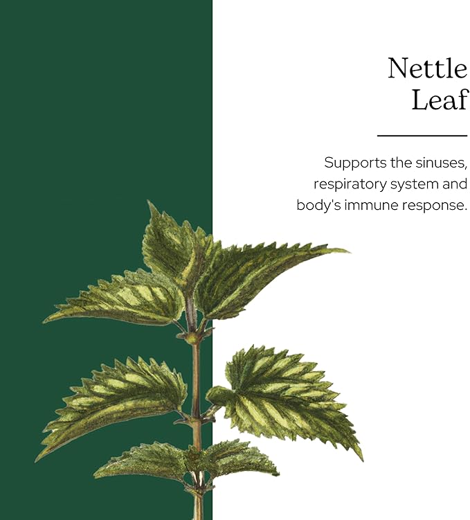 Eclectic Institute Raw Fresh Freeze-Dried Nettle Leaf Whole Food Powder | 2.1 oz (60 g)