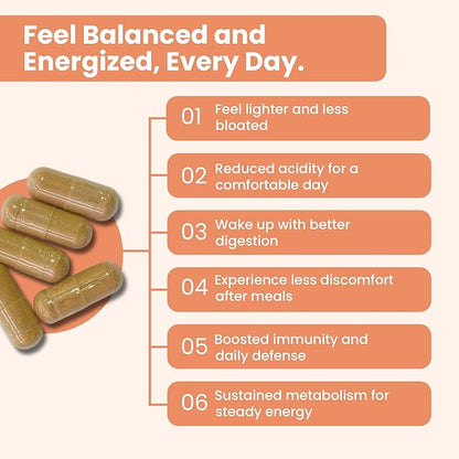WellGut Daily Herbal Supplement | Traditional Herbs with Minerals & Probiotics 90 Vegan Capsules