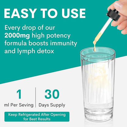 Liposomal Lymphatic Drainage Drops - Immune and Lymphatic Support - Detox Cleanse Supplements - Lymphedema Relief - PureLymphSwell Blend,Echinacea & Dandelion - 2 fl oz，60 Servings