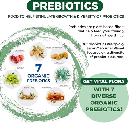 Vital Planet - Vital Flora Adults Over 55 Daily Probiotic 60 Billion CFU, Diverse Strains, Organic Prebiotics, Immune and Digestive Health Shelf Stable Probiotics for Women and Men, 60 Capsules