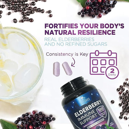 Elderberry Immune Support Extract Capsules - Daily Immune Support for Adults with Natural Sambucus Black Elderberry Antioxidant - No Sugar & Gluten Free Vitamin, Non-GMO Supplement - 60 Capsules