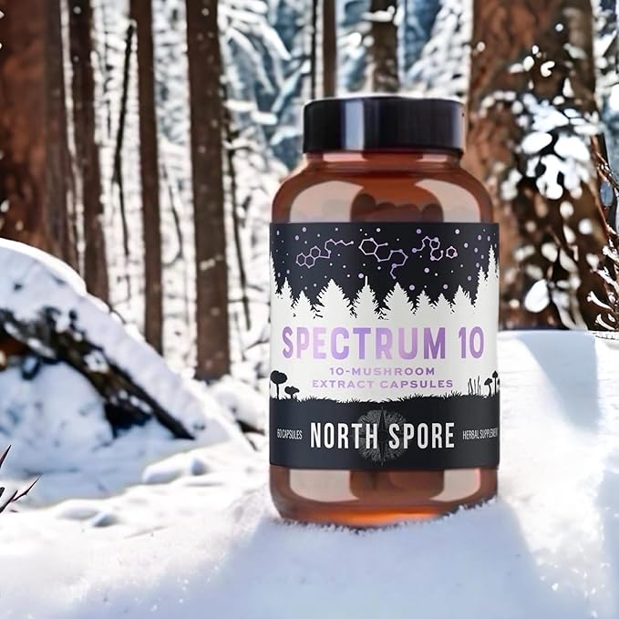 North Spore Organic 'Spectrum 10' High Potency Mushroom Capsules | Cognitive Supplement | Lion's Mane, Chaga, Cordyceps, Reishi, Turkey Tail | 10 Medicinal Mushrooms | Energy, Focus, Clarity - 60ct