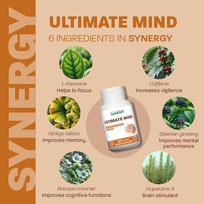 Ultimate Mind – Brain Supplement – 6 Actives – Memory, Focus, Cognitive Functions, Mental Sharpness, and Brain Energy – Brain Boost- 60 Capsules