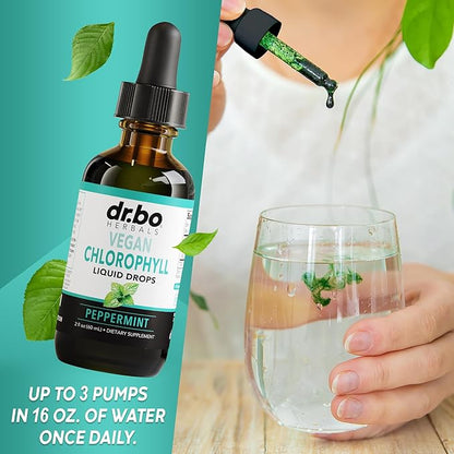 Chlorophyll Liquid Drops Body Detox - Vegan Liquid Chlorophyll Drops Odor Cleanse Supplement, Energy & Immune Support, Internal Deodorant, Body Deodorizing Supplement - Natural Deodorant Water 2 oz