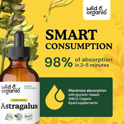 Wild & Organic Astragalus Tincture - Immune Support Supplement w/Astragalus Root Extract - Vegan Tincture for Immunity - Sugar & Alcohol-Free Drops - 4 fl oz