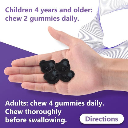 Natural Black Elderberry Gummies, Elderberry Fruit Extract with Vitamin C and Zinc, Herbal ElderCraft® Gummies Daily Immune Support for Kids and Adults, GMO Free, Gluten Free, 60 Count