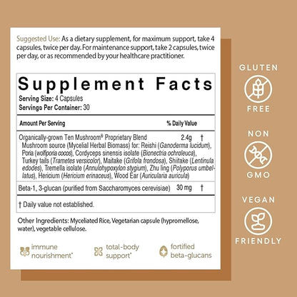 EcoNugenics Ten Mushroom Supplement: Daily Immune Support, 120 Capsules – Lion’s Mane, Reishi, Cordyceps, Turkey Tail, Maitake, Shiitake – Energy, Gut Health, Liver, Kidney & Nootropic Brain Support