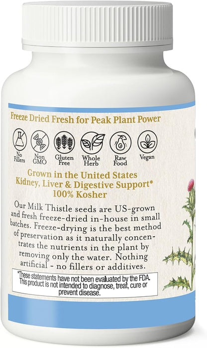 Eclectic Institute Raw Freeze-Dried Non-GMO Milk Thistle | with Silymarin for Liver Support - Detox, Cleanse & Maintain | 240 CT