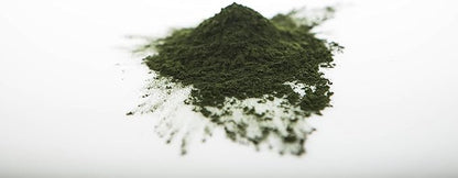 Chlorella Powder 111g by Sun Potion - Premium Organic Superfood, Pure Supplement, Rich in Vitamins, Protein, and Fatty Acids - Vegan, Nutrition, and Potent