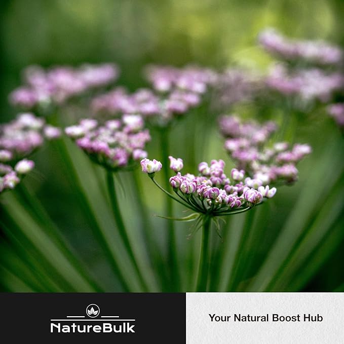 Valerian Root Capsules -Equivalent to 1,0000mg, 4X Concentrated Extract - Highly Concentrated, 120 Capsules