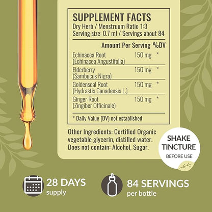HERBAMAMA Liquid Immune Support Drops - Vegan Echinacea Goldenseal Tincture with Ginger Root & Elderberry - Non-GMO, Alcohol & Sugar-Free Supplement with Immune Support Herbs, 28-Day Supply