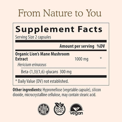 Lions Mane Mushroom Cognition (120 Capsules) Lions Mane Mushroom Powder Extract Capsules | Brain Supplement, Brain Vitamins, Focus Supplement