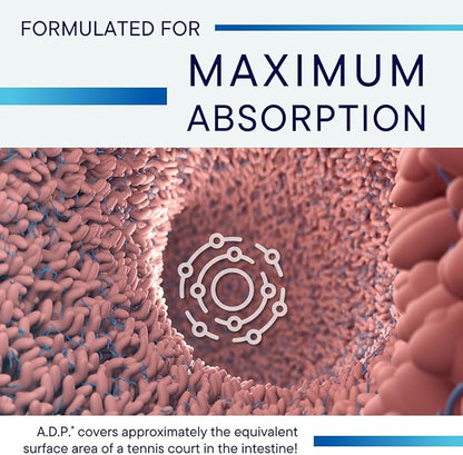 Biotics Research A.D.P.- Emulsified Oil of Oregano -Patented Formula, Wild Oregano Oil –50mg/S- Highly Concentrated Carvacrol - Sustained Release for High Absorption, GI Health –60 Tablets
