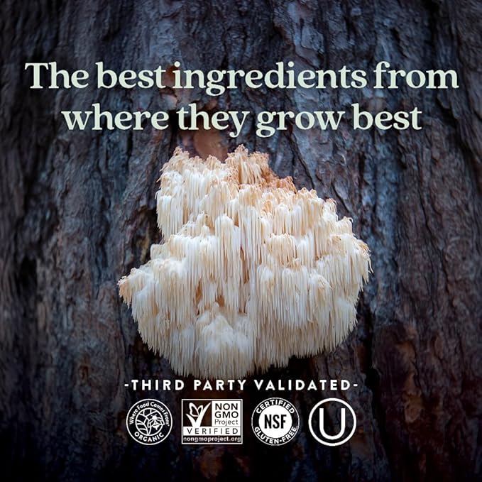 New Chapter Lion's Mane + Reishi Mushroom - LifeShield Mind Force for Mental Clarity with Organic Reishi Mushroom + Vegan + Non-GMO, Nootropic Ingredients - 60 ct
