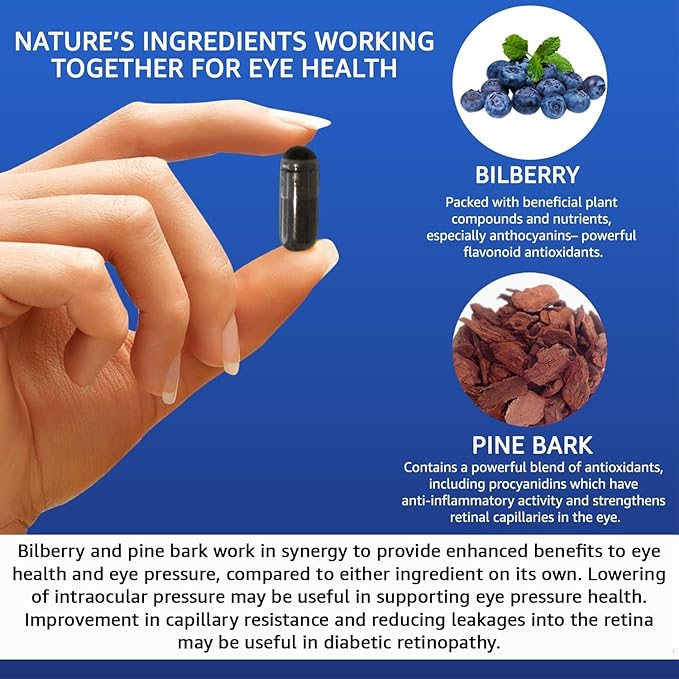 Vision Defender BP Eye Supplement: Bilberry and Pine Bark Extracts for Eye Pressure and Eye Health Support (60 Vegan Capsules)