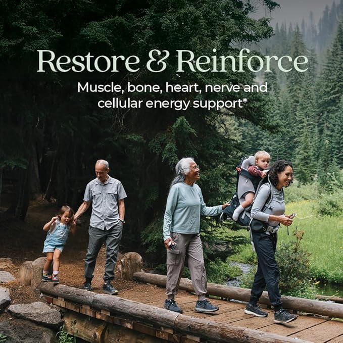 New Chapter Magnesium Complex Supplement for Heart, Bone, Nerve, Muscle & Cellular Energy - Well-Absorbed Magnesium Glycinate + Sea-Sourced & Fermented Forms, 100% Vegan, 60 Tablets